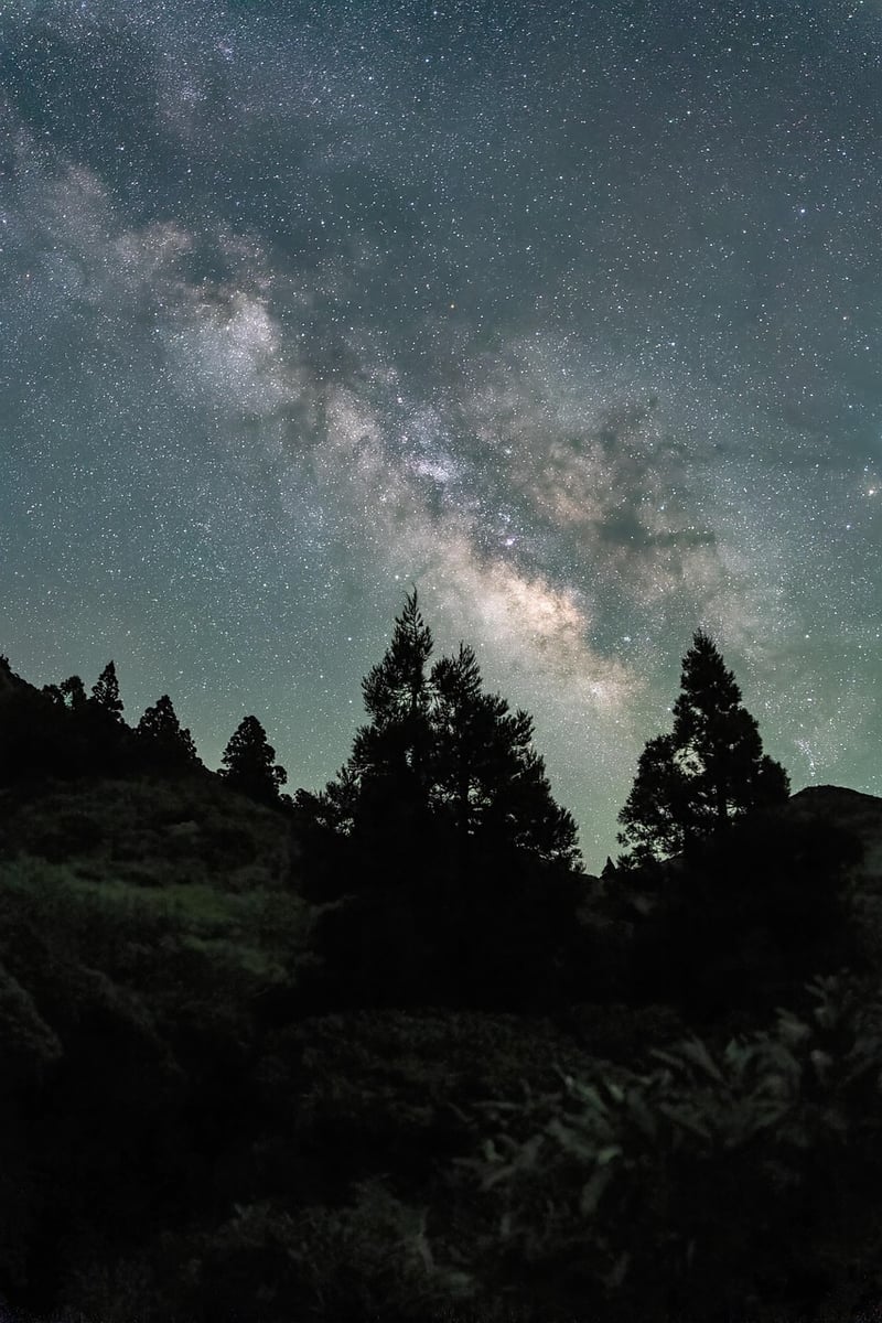 Exploring the Milky Way