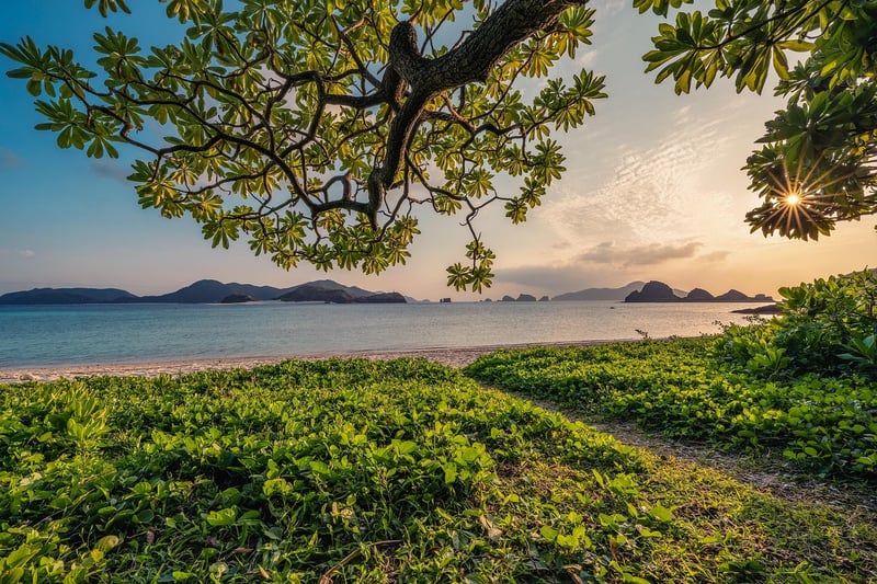 Eco-Friendly Escapes