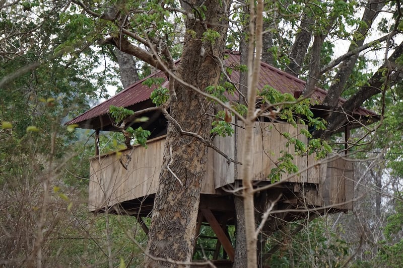 Treehouse Hotel